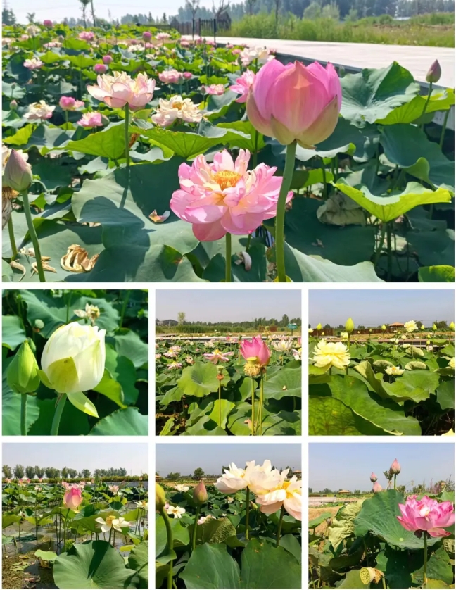 1718674041965374.png 微信截圖_20240618092717.png